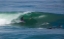 Picture of SURFING VII