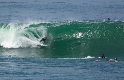 Picture of SURFING VIII