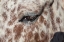 Picture of HORSE UP CLOSE I