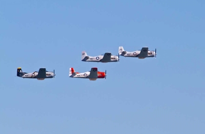 Picture of AIR SHOW I