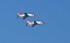 Picture of AIR SHOW II