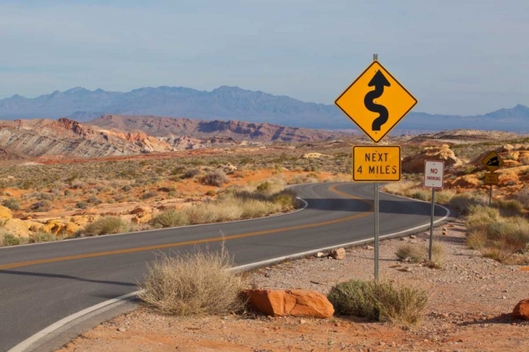 Picture of DESERT ROADS I