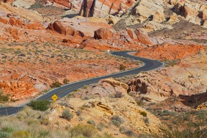 Picture of DESERT ROADS II