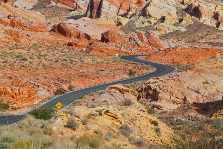 Picture of DESERT ROADS II