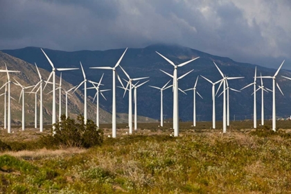 Picture of WINDMILLS I