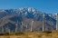 Picture of WINDMILLS II