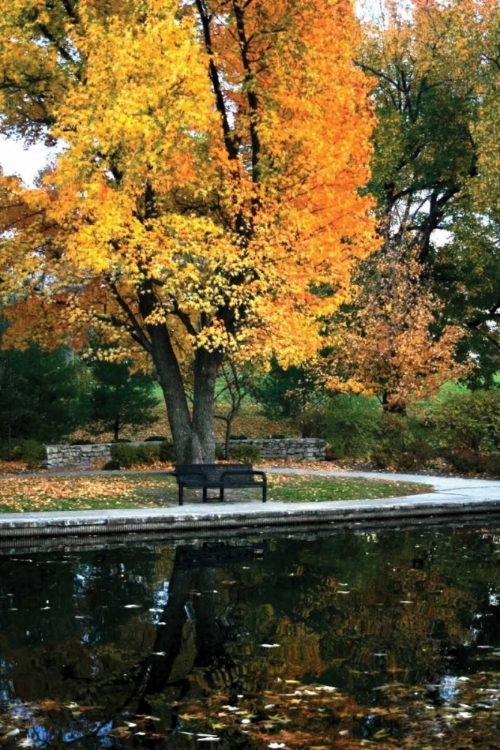 Picture of FALL IN THE PARK