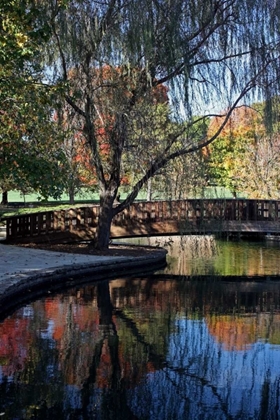 Picture of FALL REFLECTION