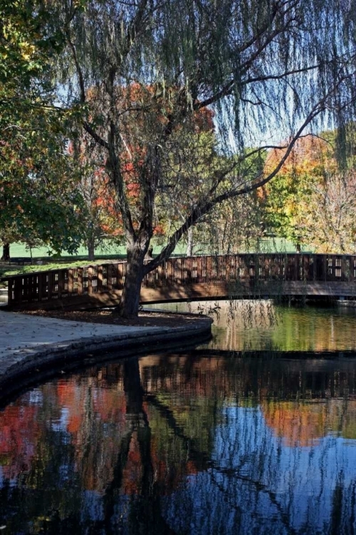 Picture of FALL REFLECTION