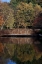 Picture of BRIDGE IN FALL I
