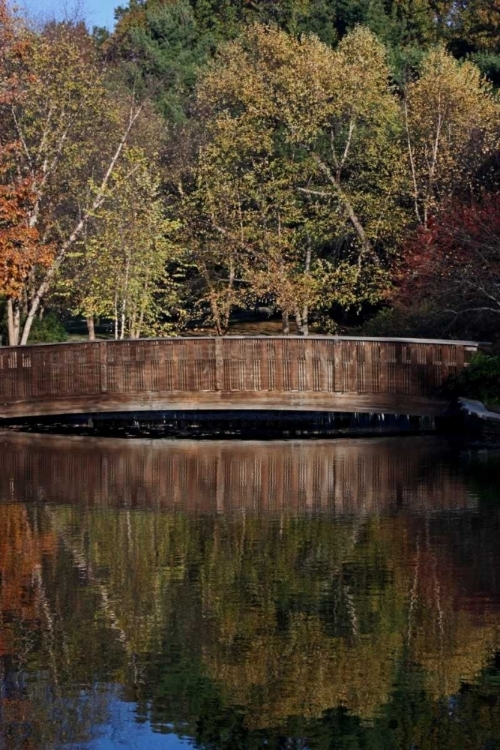 Picture of BRIDGE IN FALL I