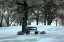 Picture of BENCH III