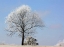 Picture of FROZEN FOG II
