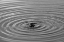 Picture of RIPPLES I