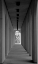 Picture of THE WALKWAY