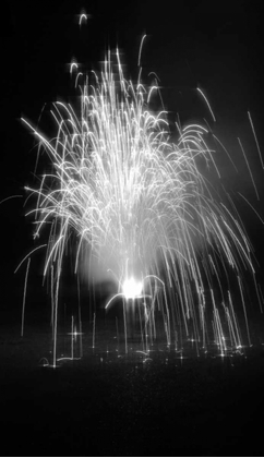 Picture of FIREWORKS I