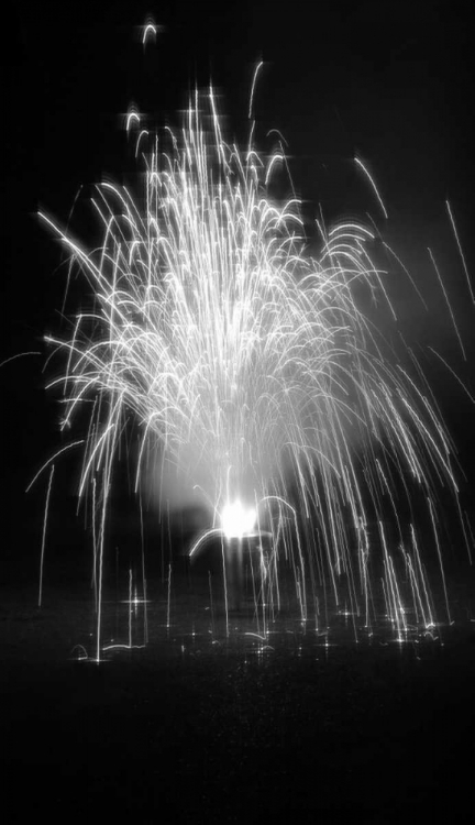 Picture of FIREWORKS I