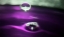 Picture of GRAPE DRINK DROP I
