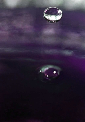 Picture of GRAPE DRINK DROP IV