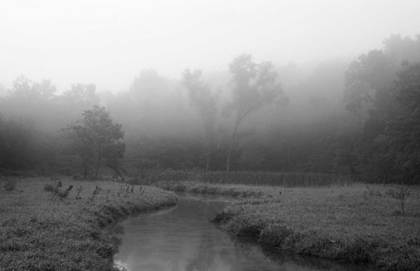 Picture of CREEK IN FOG I