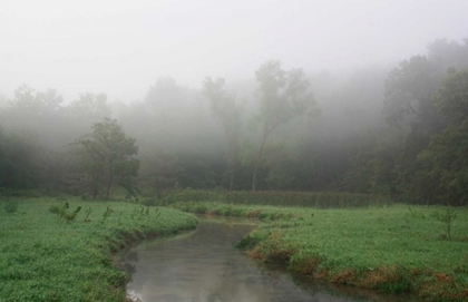Picture of CREEK IN FOG I