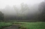 Picture of CREEK IN FOG II
