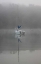 Picture of BLUE SAIL