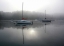 Picture of RED SAIL