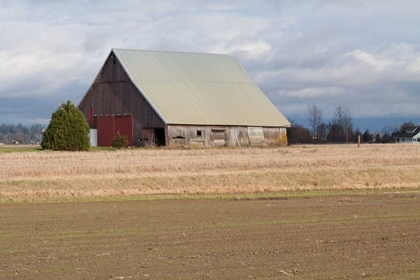 Picture of RED DOOR BARN