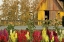 Picture of SNAPDRAGONS BARN II