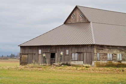 Picture of GREY FLOWER BARN