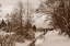 Picture of WINTER SCENIC I