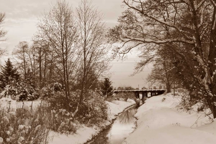 Picture of WINTER SCENIC I