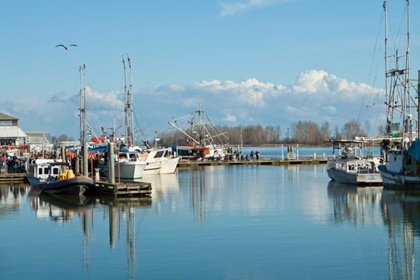 Picture of STEVESTON SCENIC I