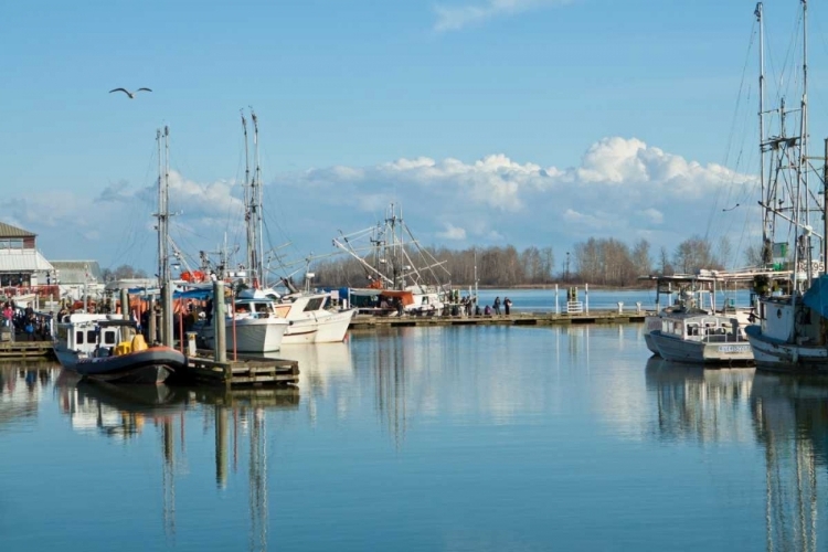 Picture of STEVESTON SCENIC I