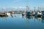 Picture of STEVESTON SCENIC II