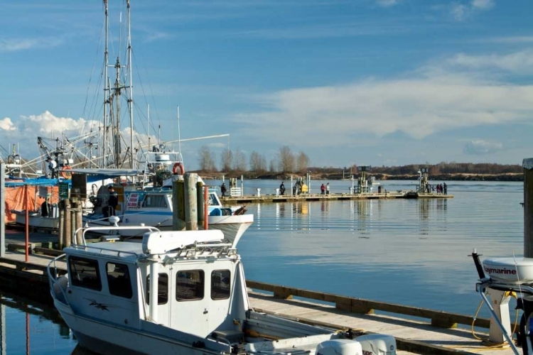 Picture of STEVESTON SCENIC III