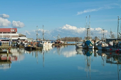 Picture of STEVESTON SCENIC IV