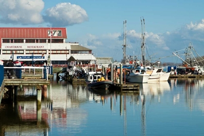 Picture of STEVESTON SCENIC V