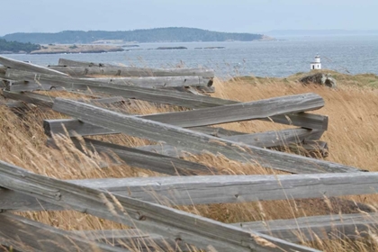 Picture of LIGHTHOUSE PATH