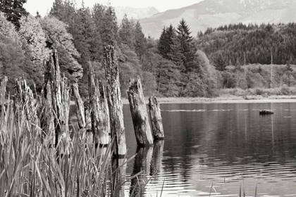 Picture of BAKER LAKE PILINGS