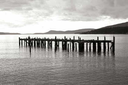 Picture of LONELY DOCK