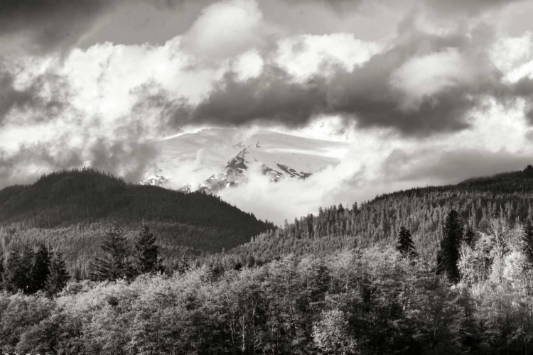 Picture of MOUNT BAKER EXPOSED