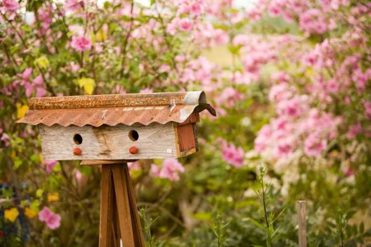 Picture of BIRD HOUSE I