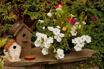 Picture of BIRD HOUSE II