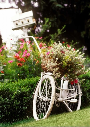 Picture of VINTAGE BICYCLE I