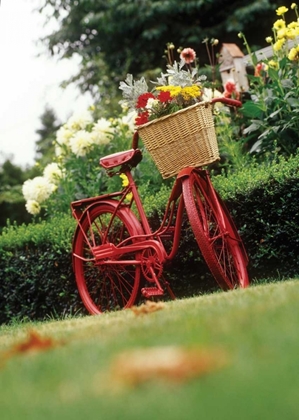 Picture of VINTAGE BICYCLE II