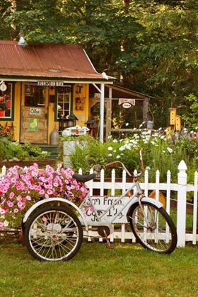 Picture of VINTAGE BICYCLE III