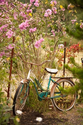 Picture of VINTAGE BICYCLE IV