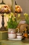 Picture of YELLOW TULIPS II